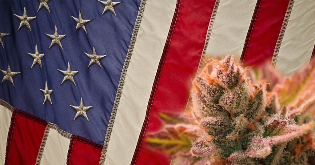 US Government Cannabis